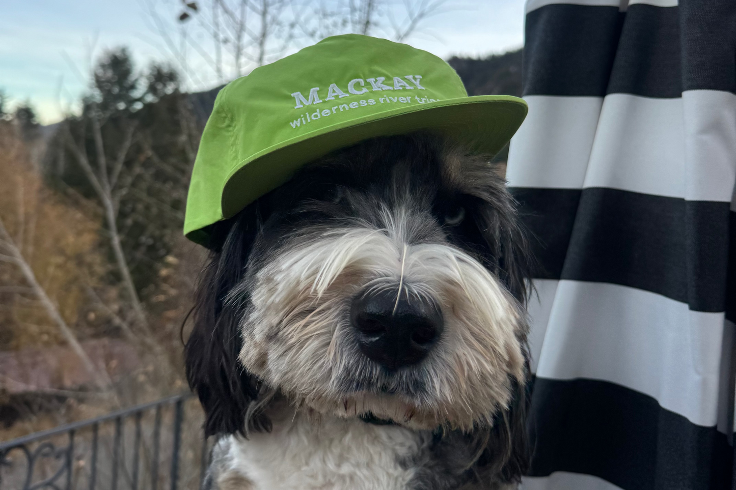 Neon Green Mackay Hat