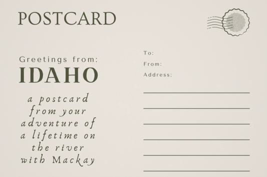 Fishing Loon Creek Postcards