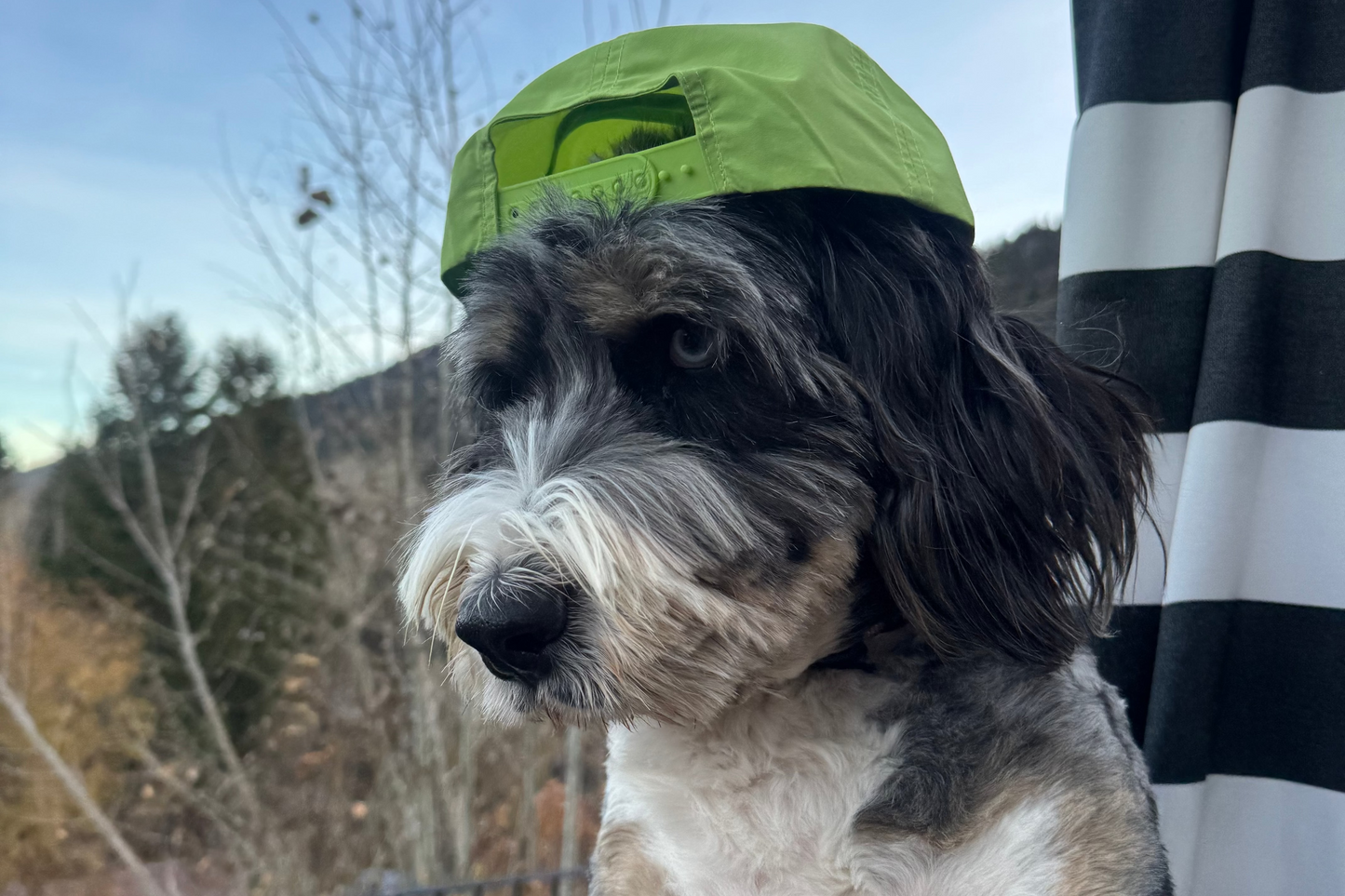 Neon Green Mackay Hat