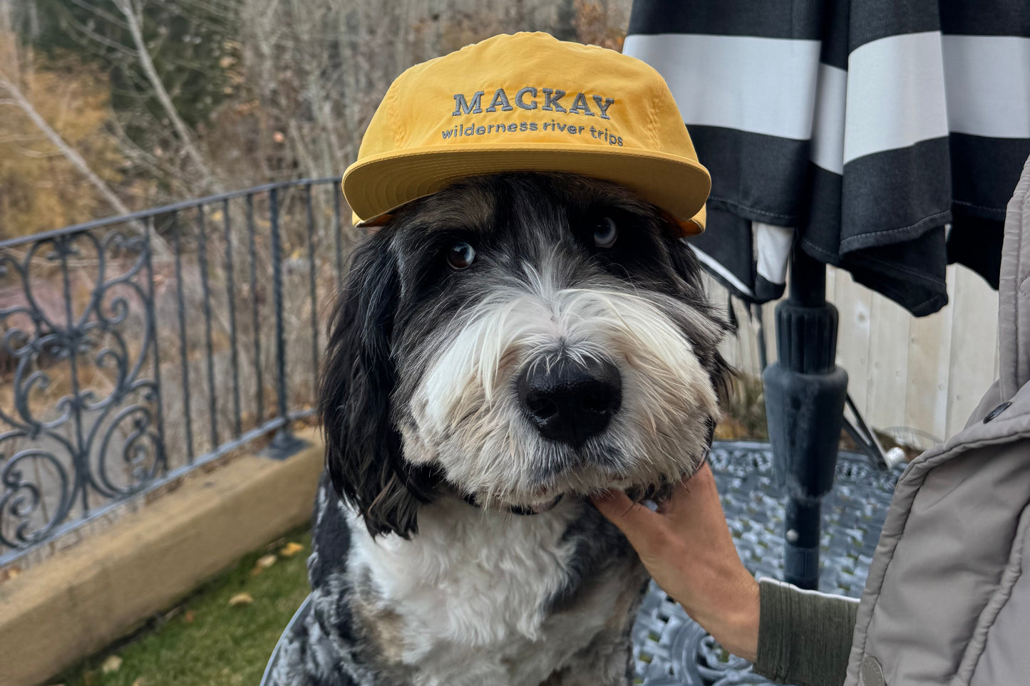 Bright Yellow Mackay Hat