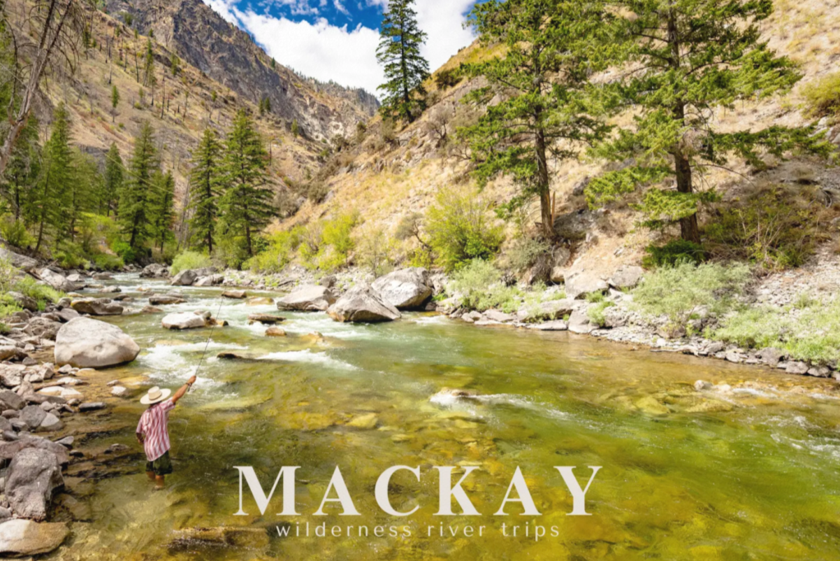 Fishing Loon Creek Postcards