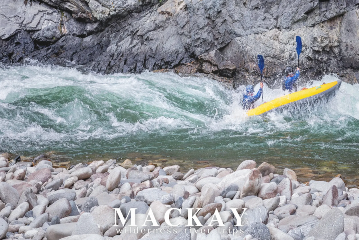 Double Duckie Postcards