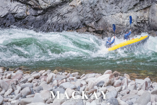 Double Duckie Postcards