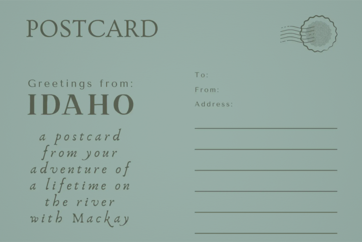 Double Duckie Postcards